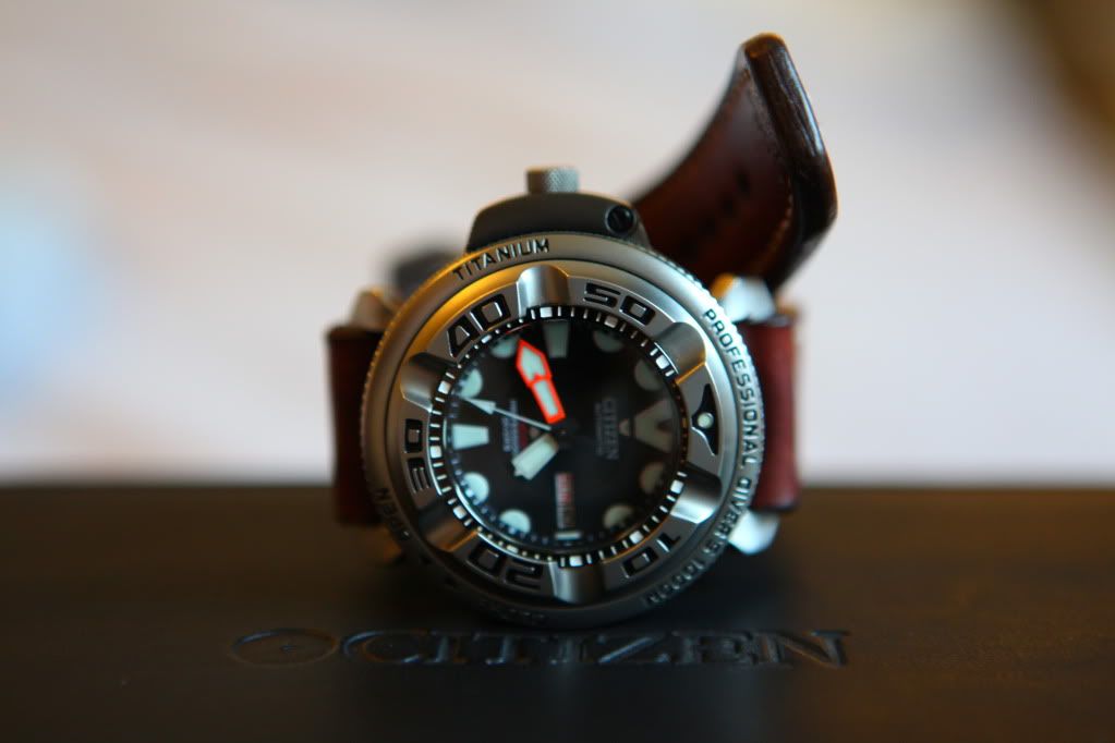 citizen promaster 1000m titanium